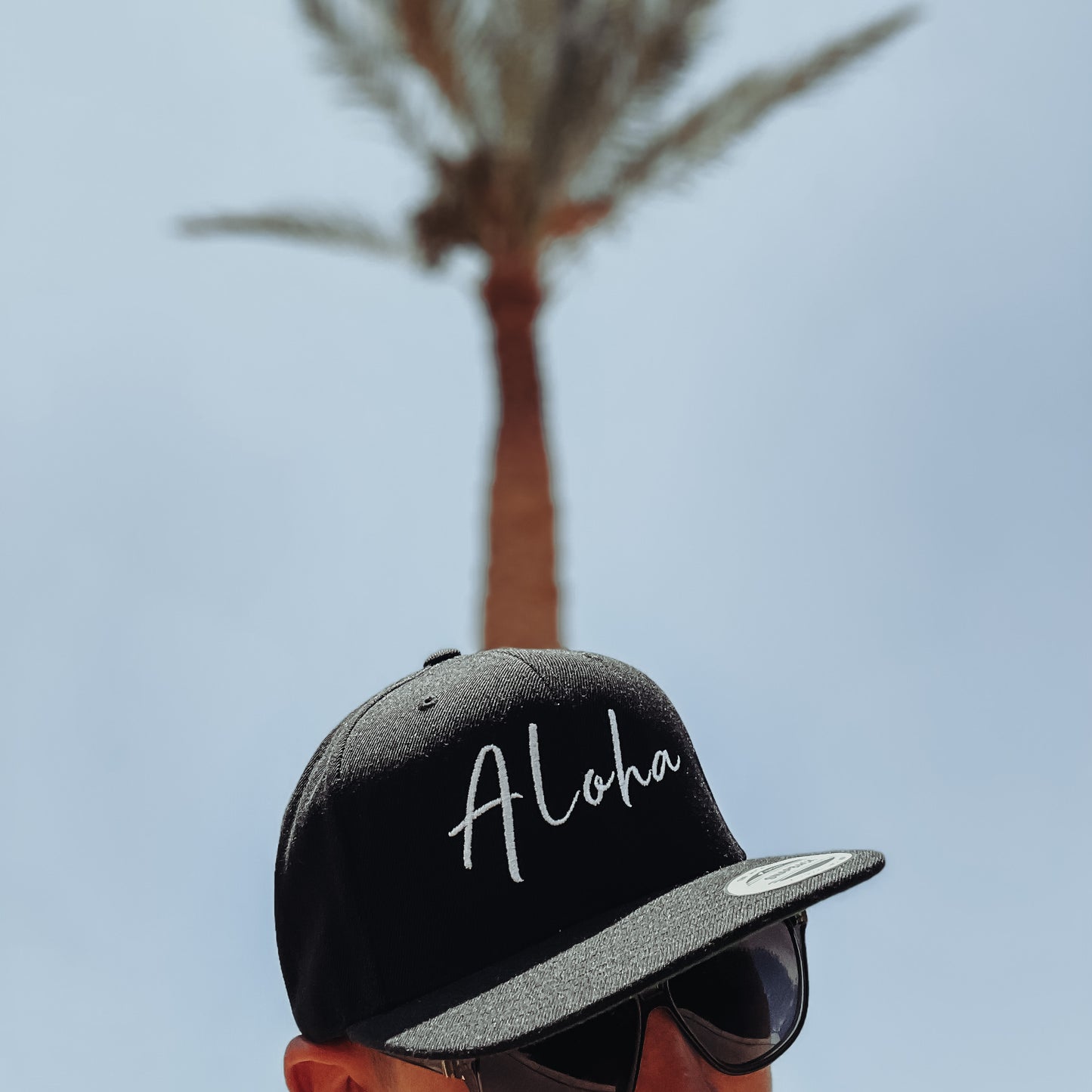 Snapback Baseball Cap | The Aloha